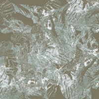 Mystic Forest Flow papel pintado