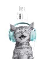 Cool Cat – Just Chill - turquoise behang