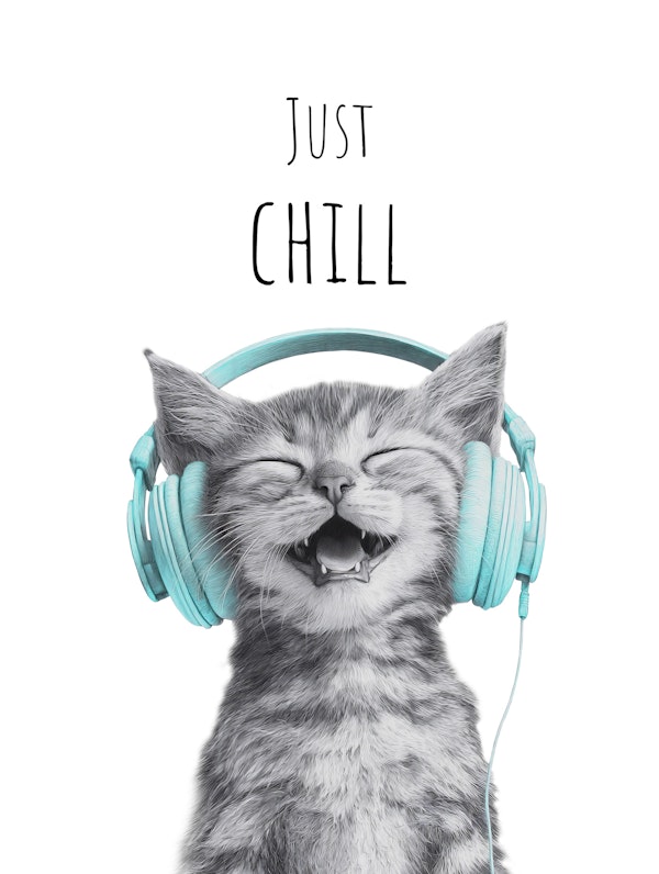 Cool Cat – Just Chill - turquoise