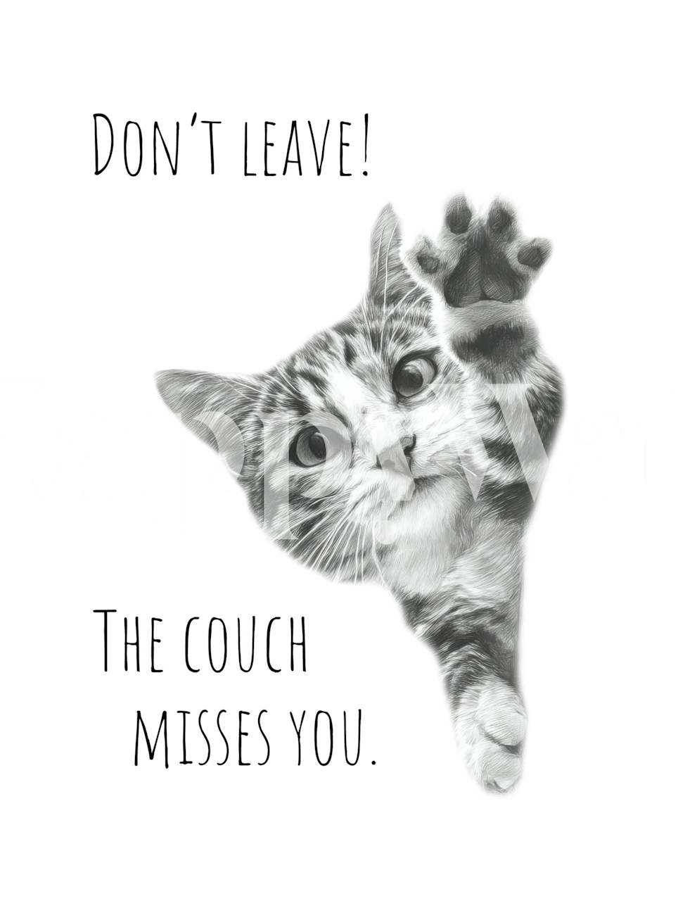 Cat wallpaper in a room with a playful message