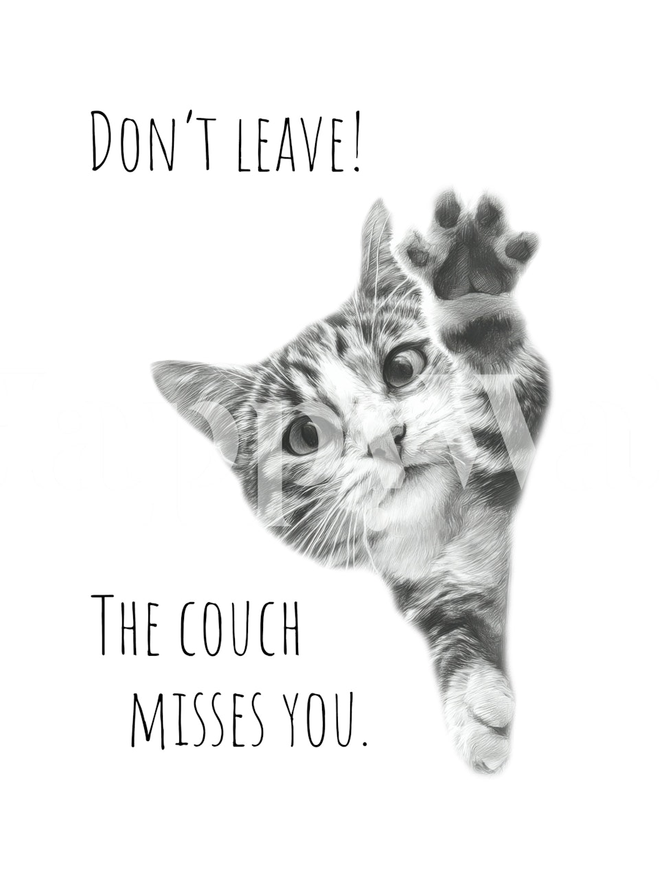 Cat wallpaper in a room with a playful message