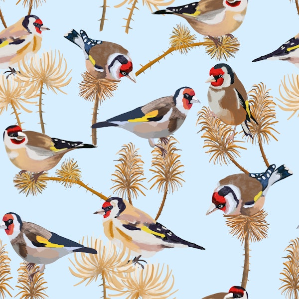Goldfinch in the Meadow