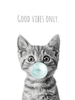 Cool Cat - Good Vibes Only - turquoise tapet