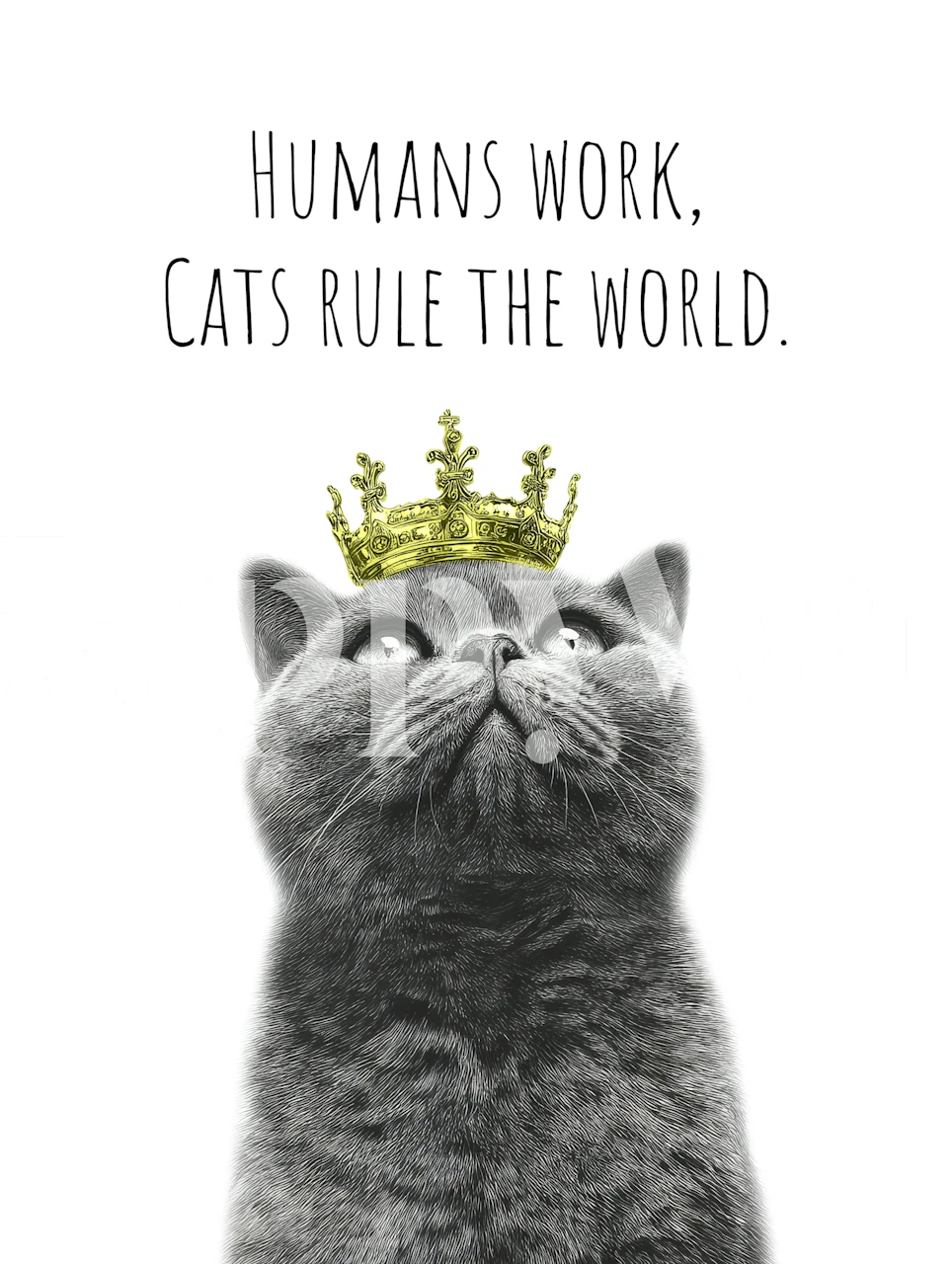 Cool cat wallpaper with crown and text.