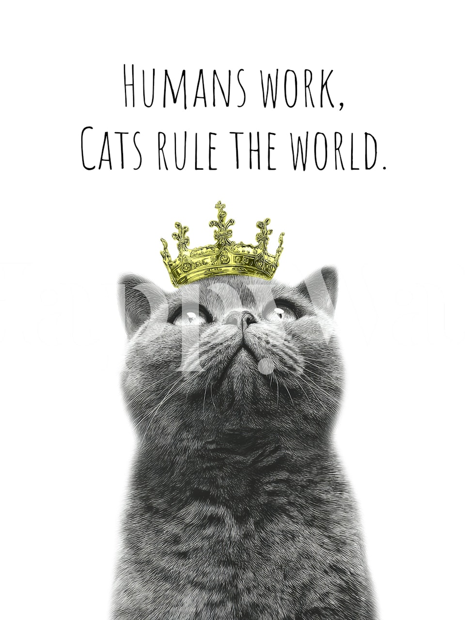 Cool cat wallpaper with crown and text.