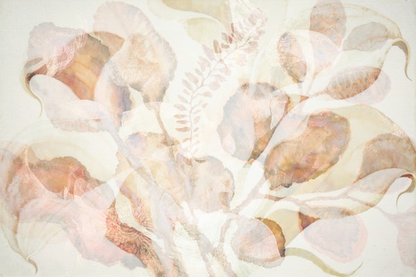 Fall Blossoms Dreams