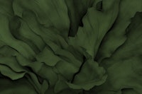 Natures Secret Volumetric Organic Green wallpaper