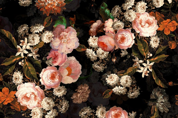 Baroque Peach Roses Midnight Garden 1
