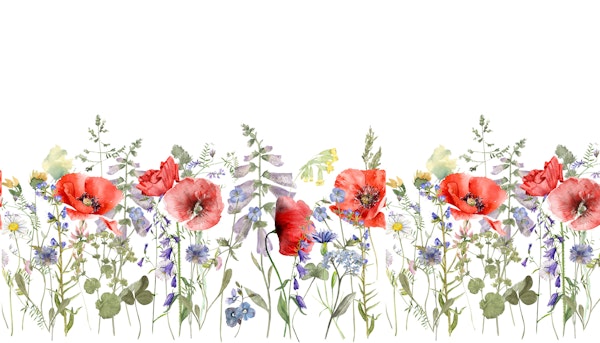 Poppy and Cornflower Bliss