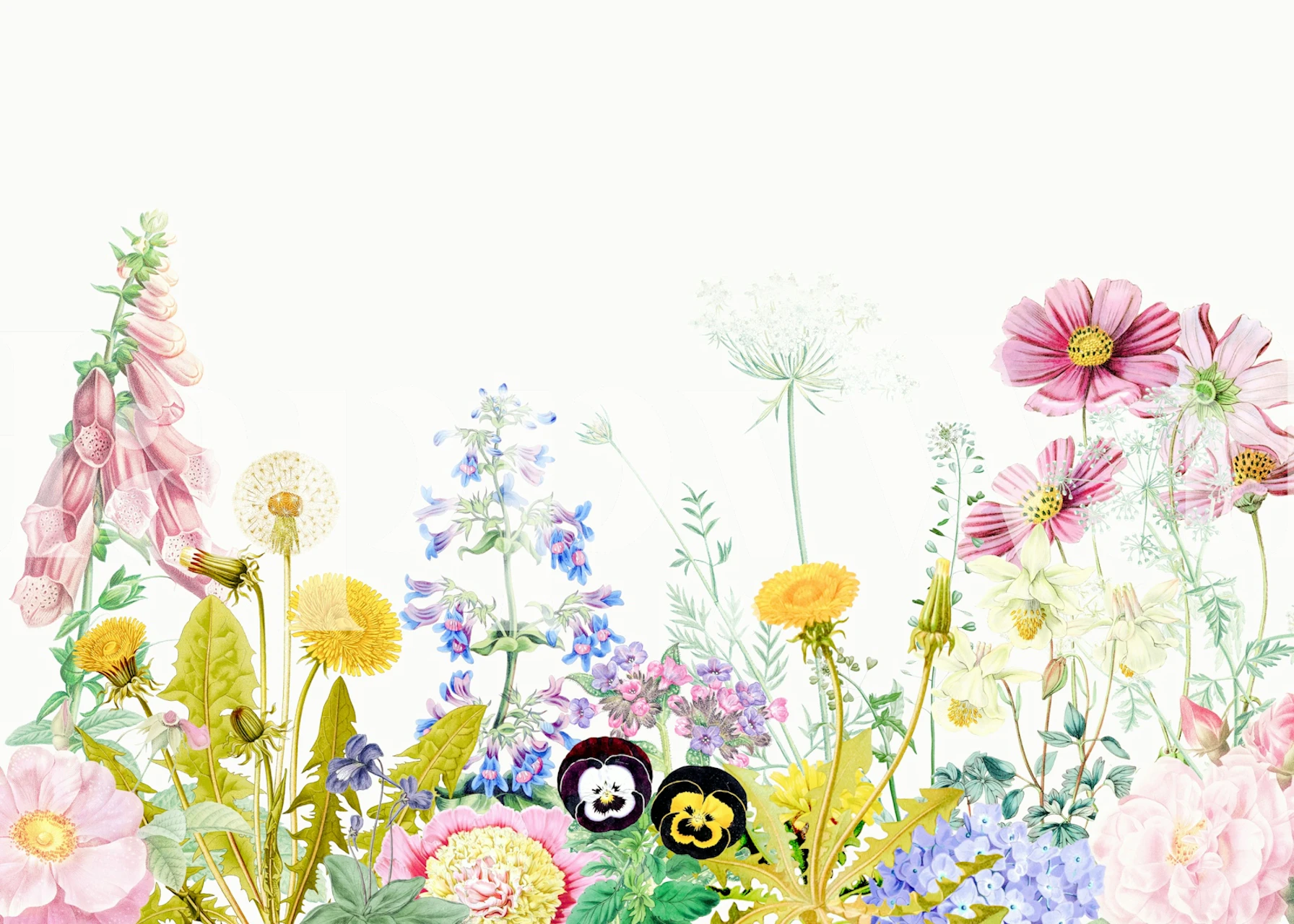 Botanical Bloom Serenity Garden wallpaper in een kamer