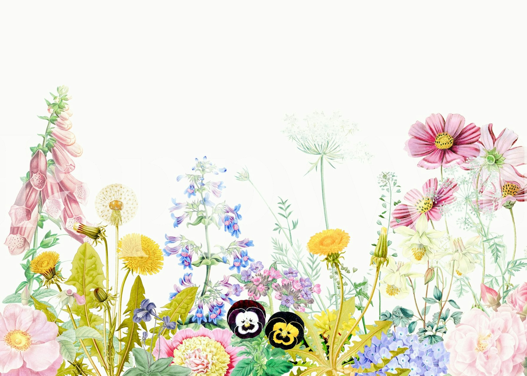 Colorful botanical floral wallpaper with various flowers in soft colors