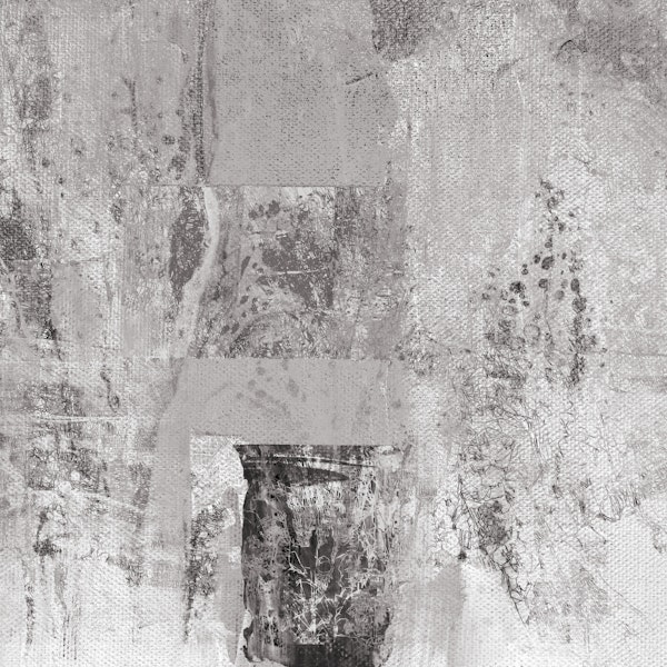 Intricate Tree Lines