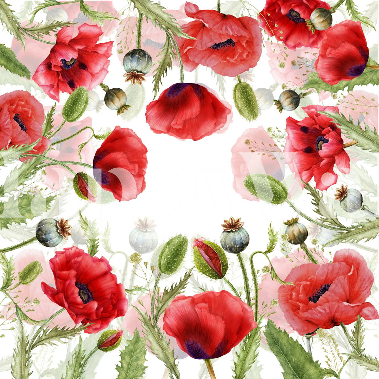 Wildflowers Poppy Meadow tapet i et rum