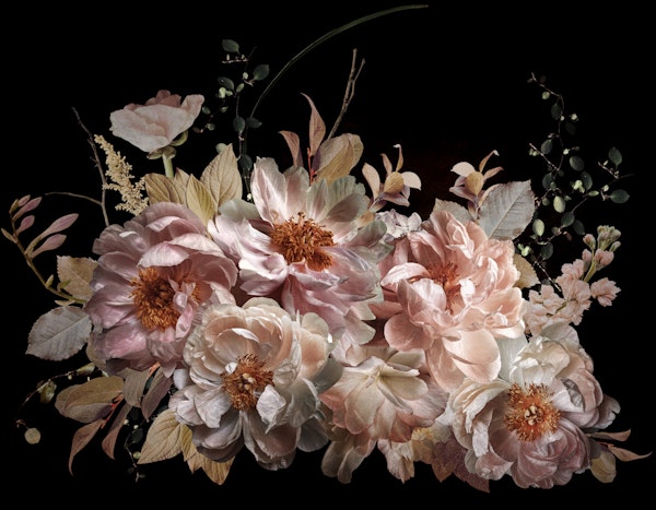 Whispering Blossom Elegance