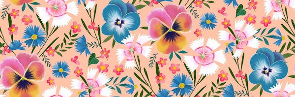 pansy cornflower dianthus garden