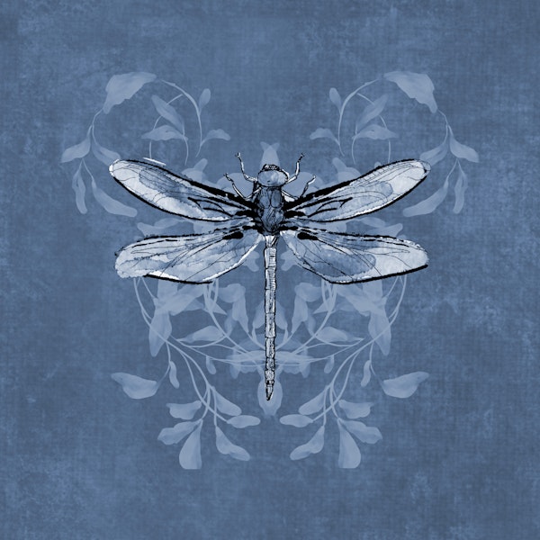 Dragonfly Buzz - Dusty Blue