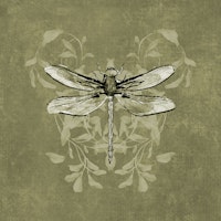 Dragonfly Buzz - Khaki Green papiers peint