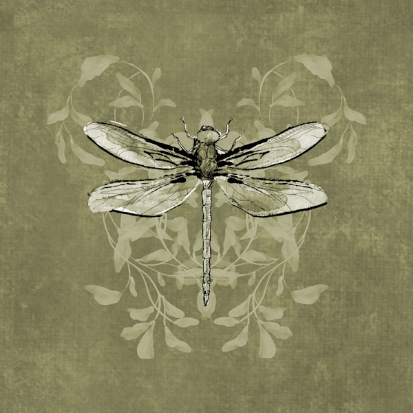 Dragonfly Buzz - Khaki Green