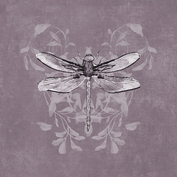 Dragonfly Buzz - Mauve