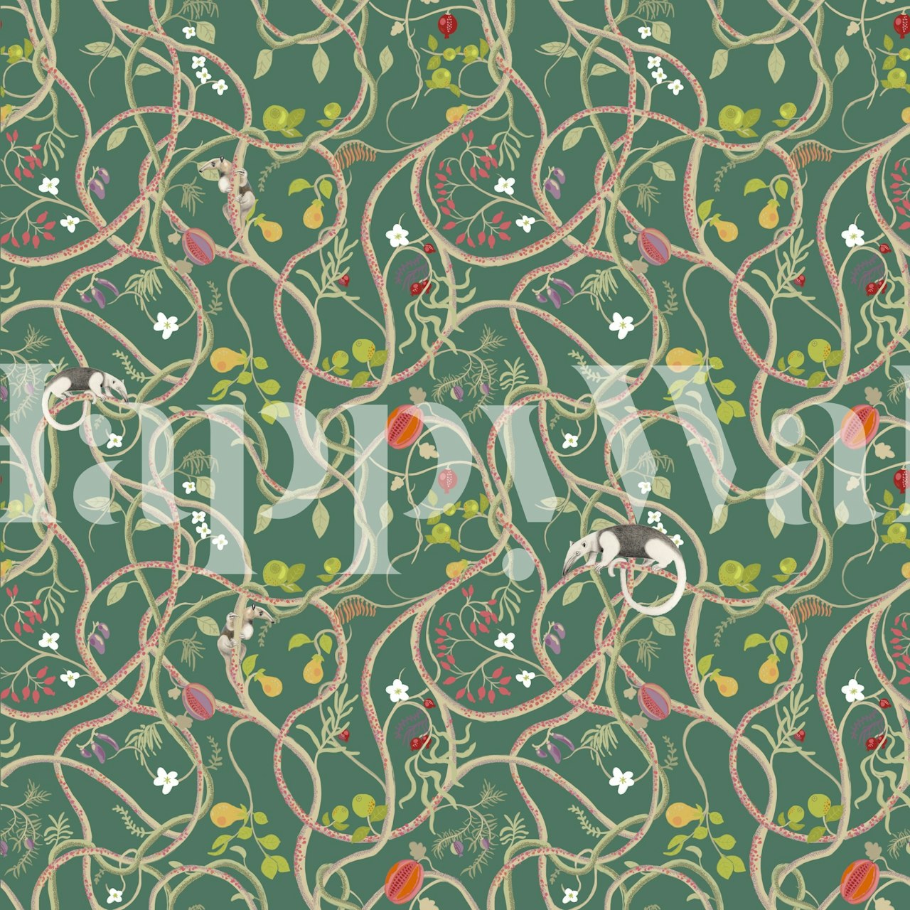 Tamanduas-Anteaters tapet i et rom