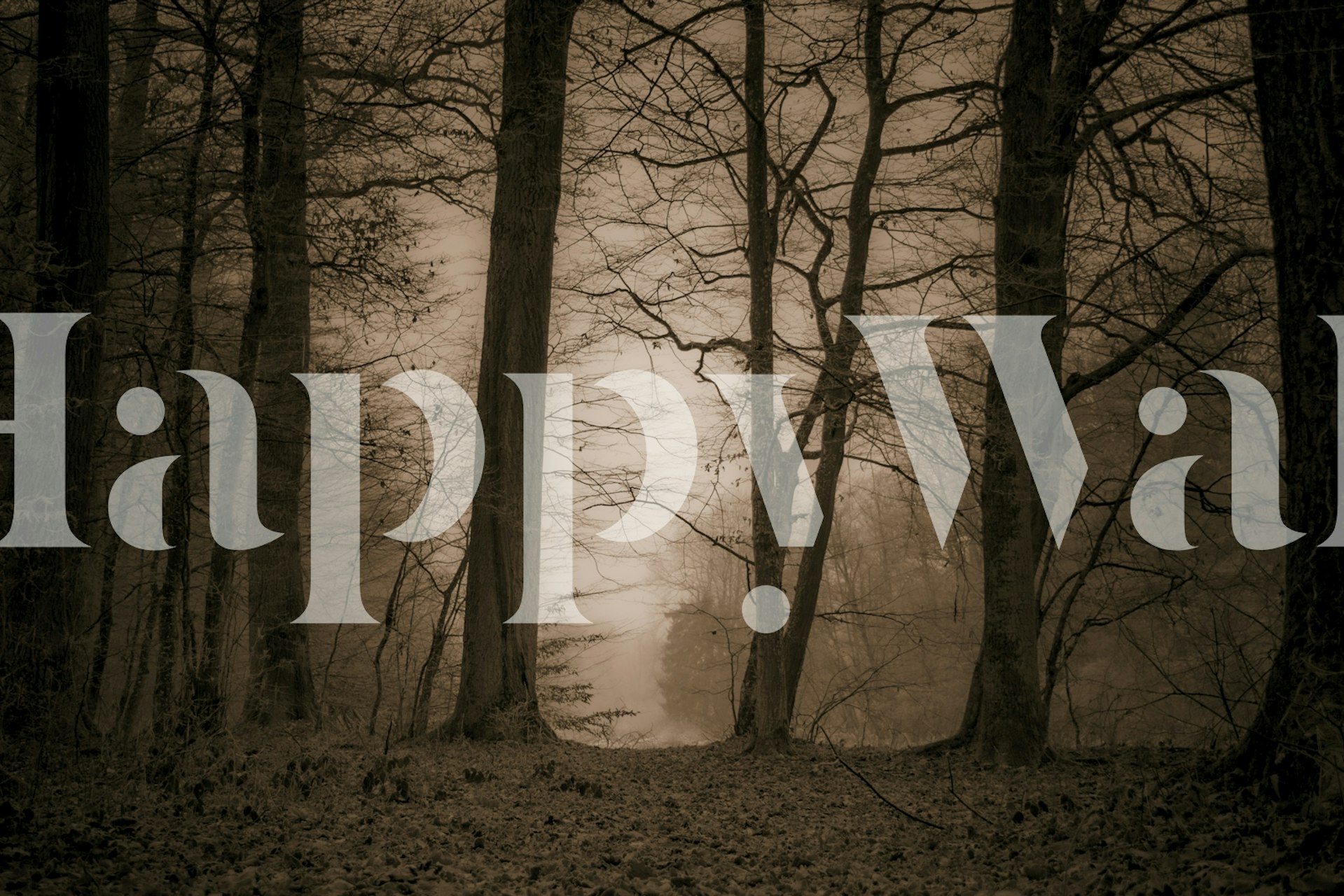 Brown forest silhouette with misty background wallpaper