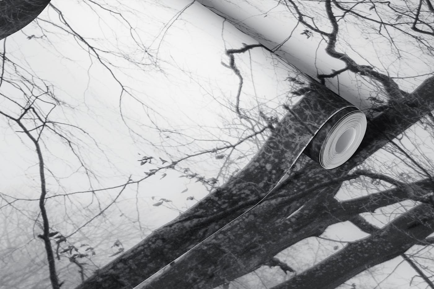 Morning Mist In The Forest Black Silhouette wallpaper roll