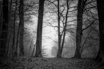 Τοιχογραφία