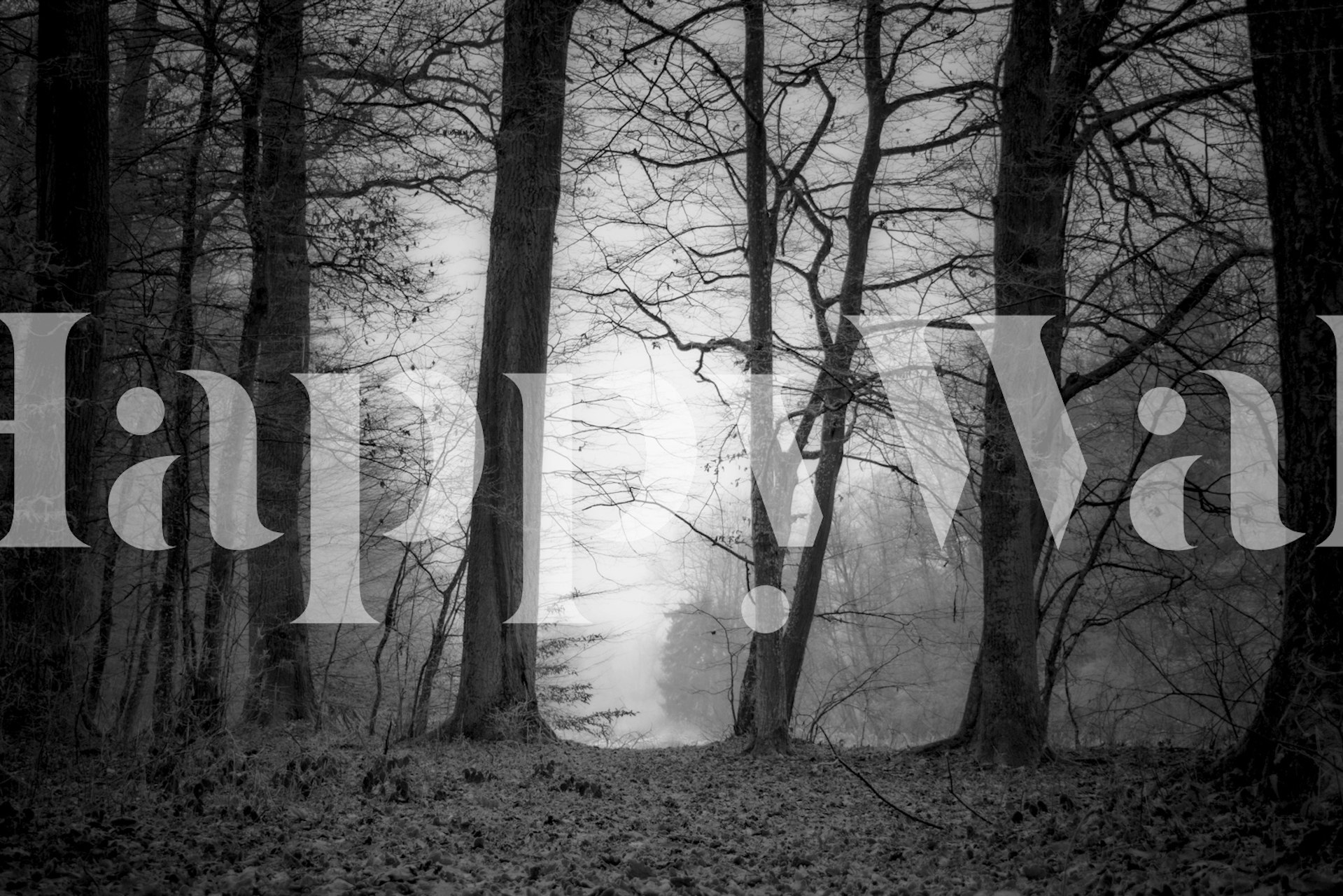 Σχέδιο ταπετσαρίας σιλουέτας δάσους σε ένα δωμάτιο