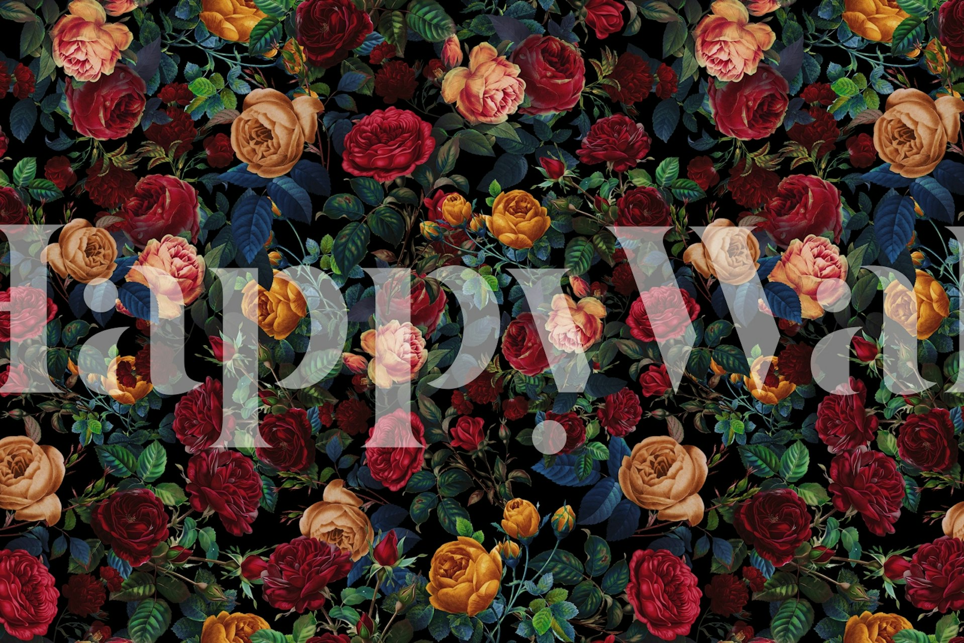 Carta da parati Rose Night Garden in una stanza