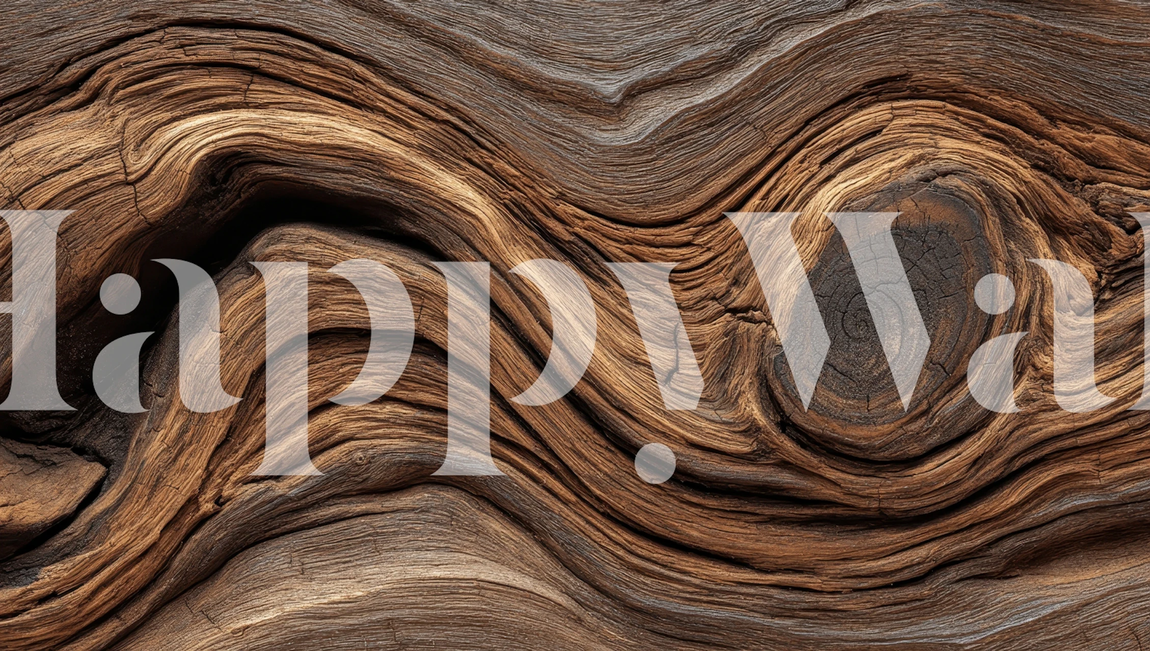 Elegant wood swirl texture wallpaper in interior