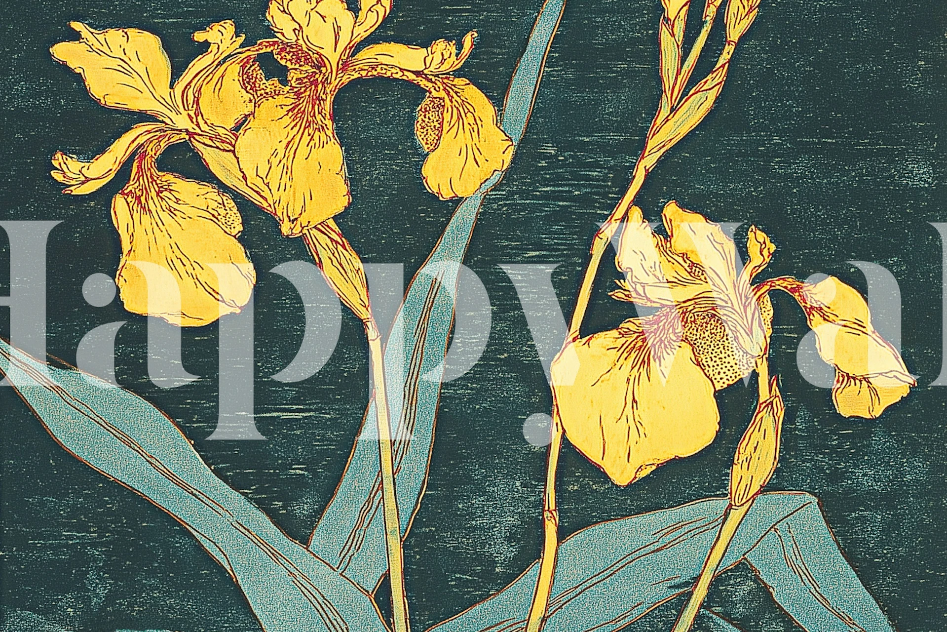 Elegant Iris Flowers tapetti huoneessa