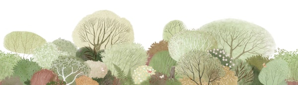 Bright and Joyful Forest