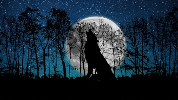 Magical Full Moon Night