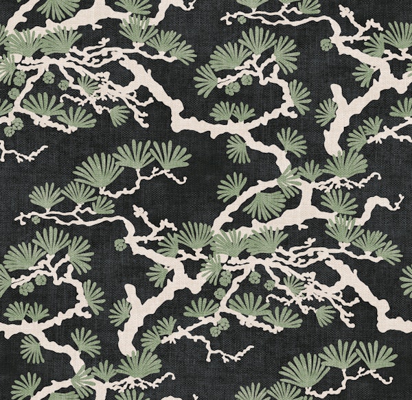 Japanese Pine Tree - midnight