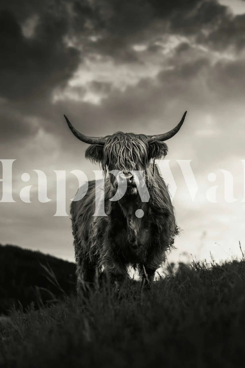 Tapeta Graceful Highland Cattle Scene v pokoji