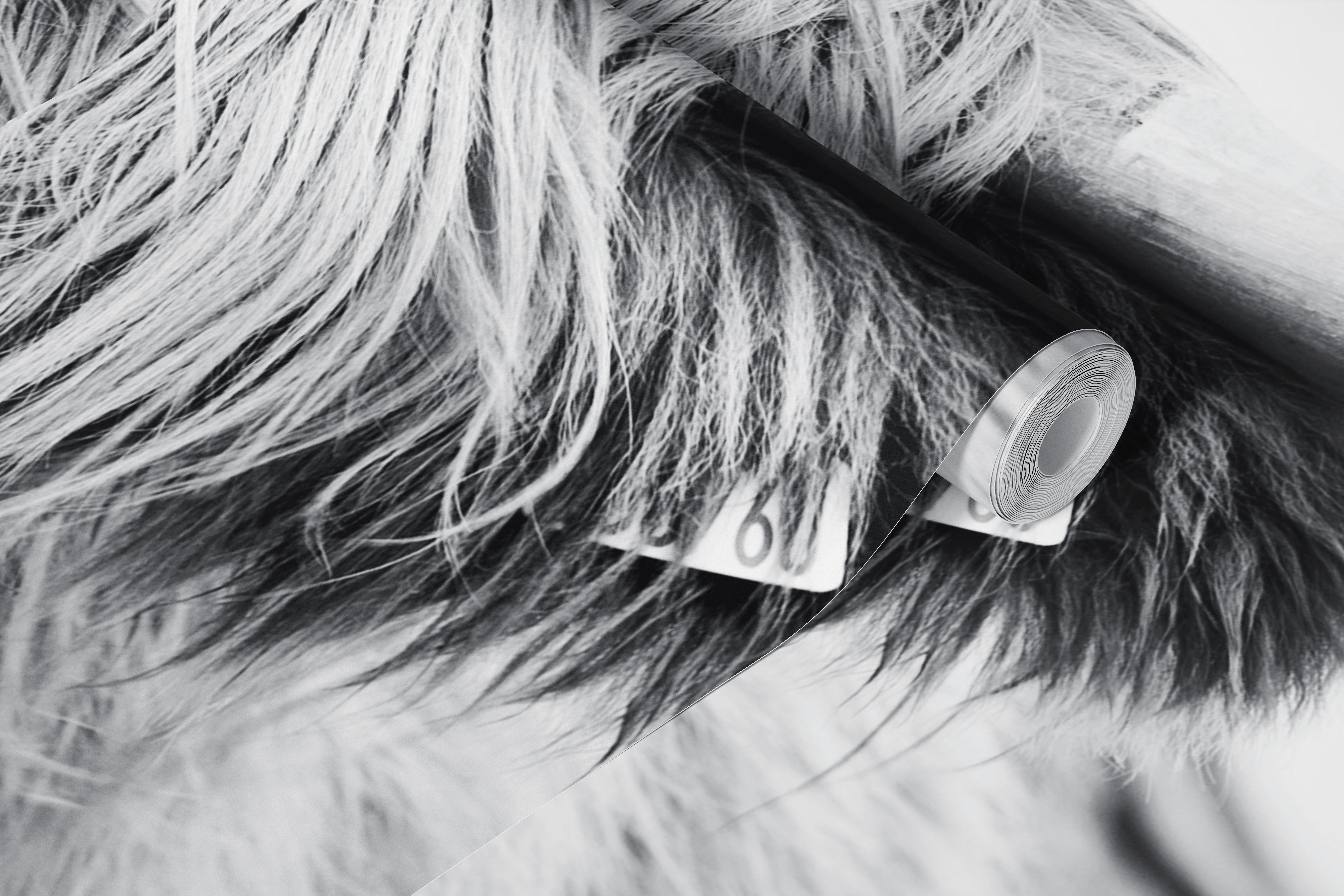 Charming Highland Cow tapet i et rom