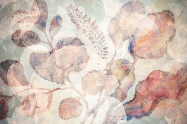 Autumn Whisper Petals