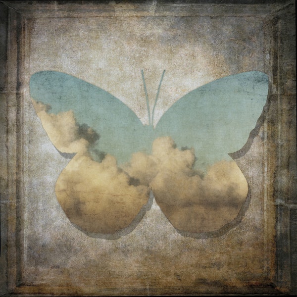 Heavenly Butterfly Canvas