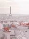 Eiffel Tower Rooftop View