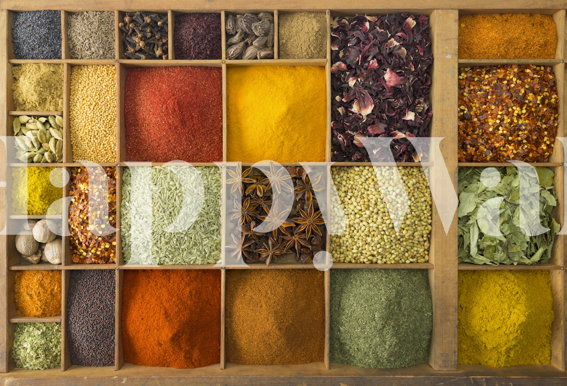 Exotic Spice Collection tapet i ett rum