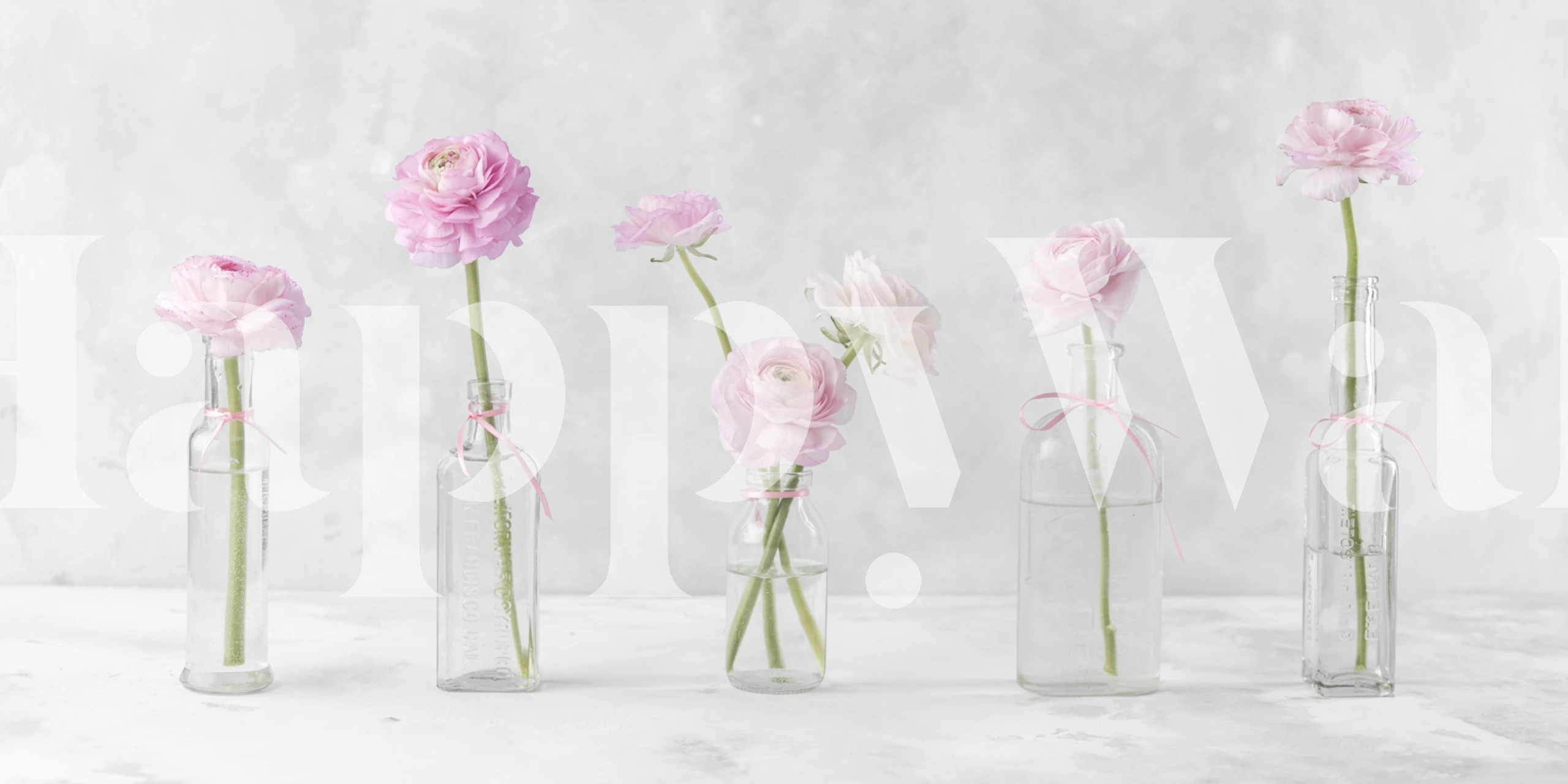 Ranunculus flowers in glass bottles tapet