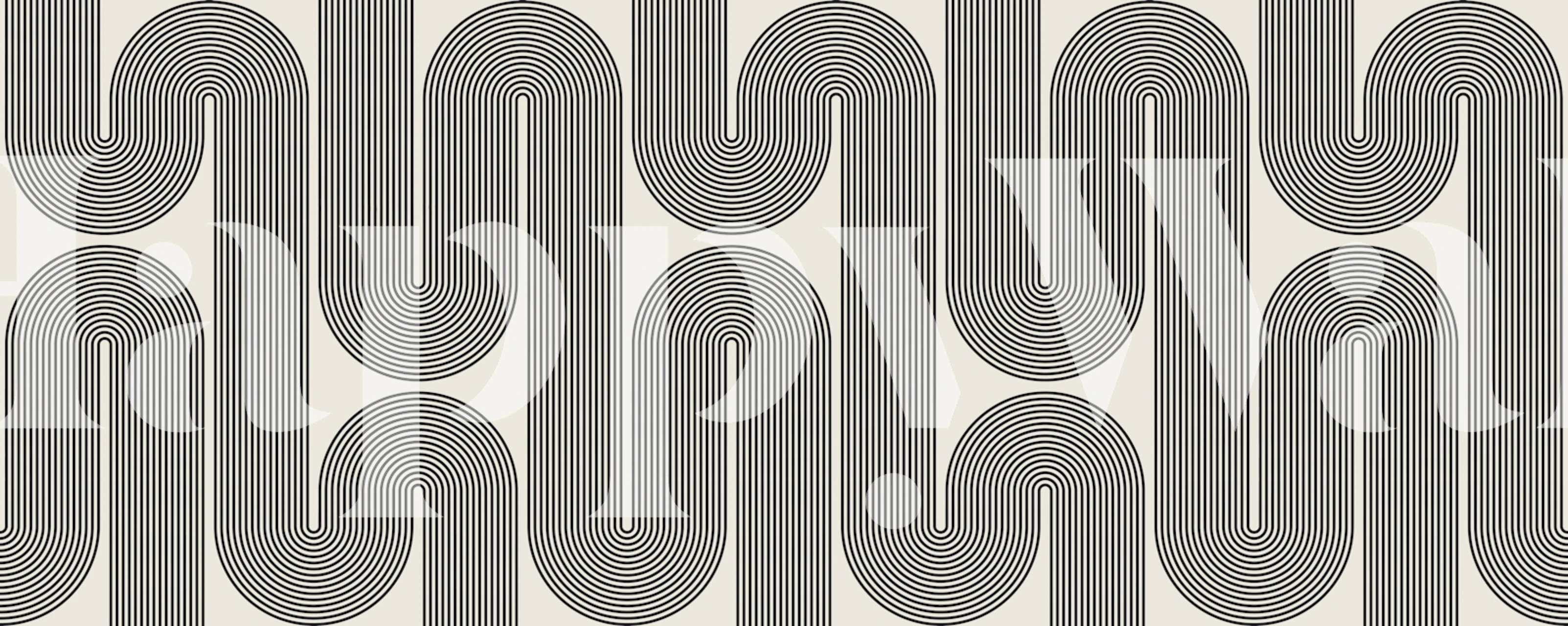 Tapeta Retro Waves Black and White u sobi