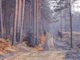 Calm Woodland Passage