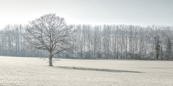 Quiet Winter Harmony