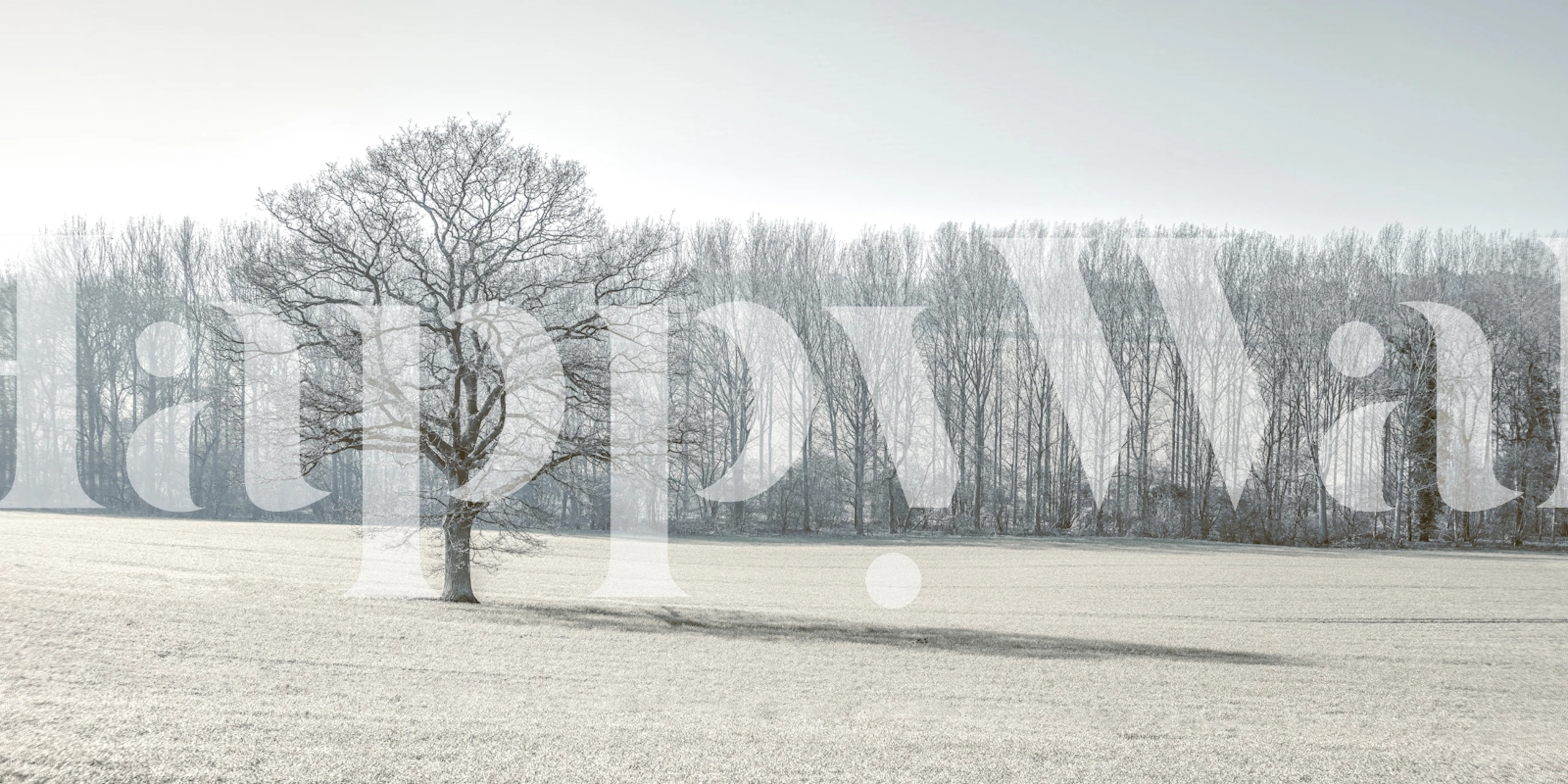 Quiet Winter Harmony wallpaper in a room