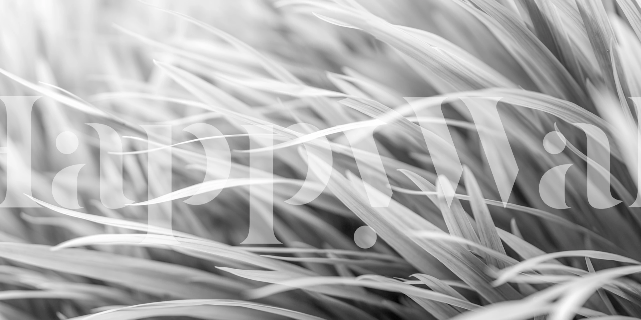 Elegant Grass Dance wallpaper in a room setting