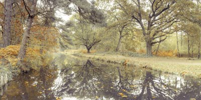 Τοιχογραφία