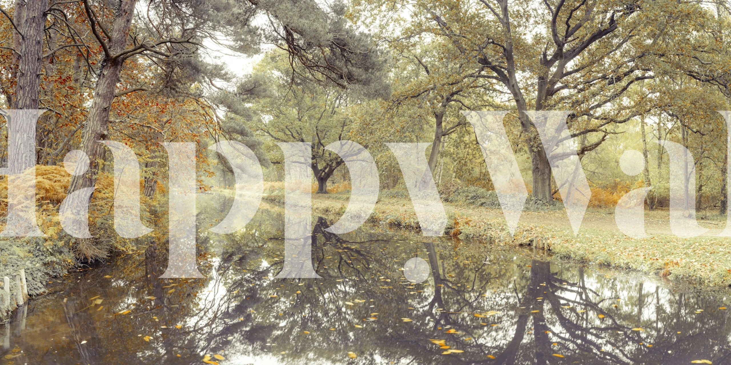 Calm Waters in Fall Forest tapeta