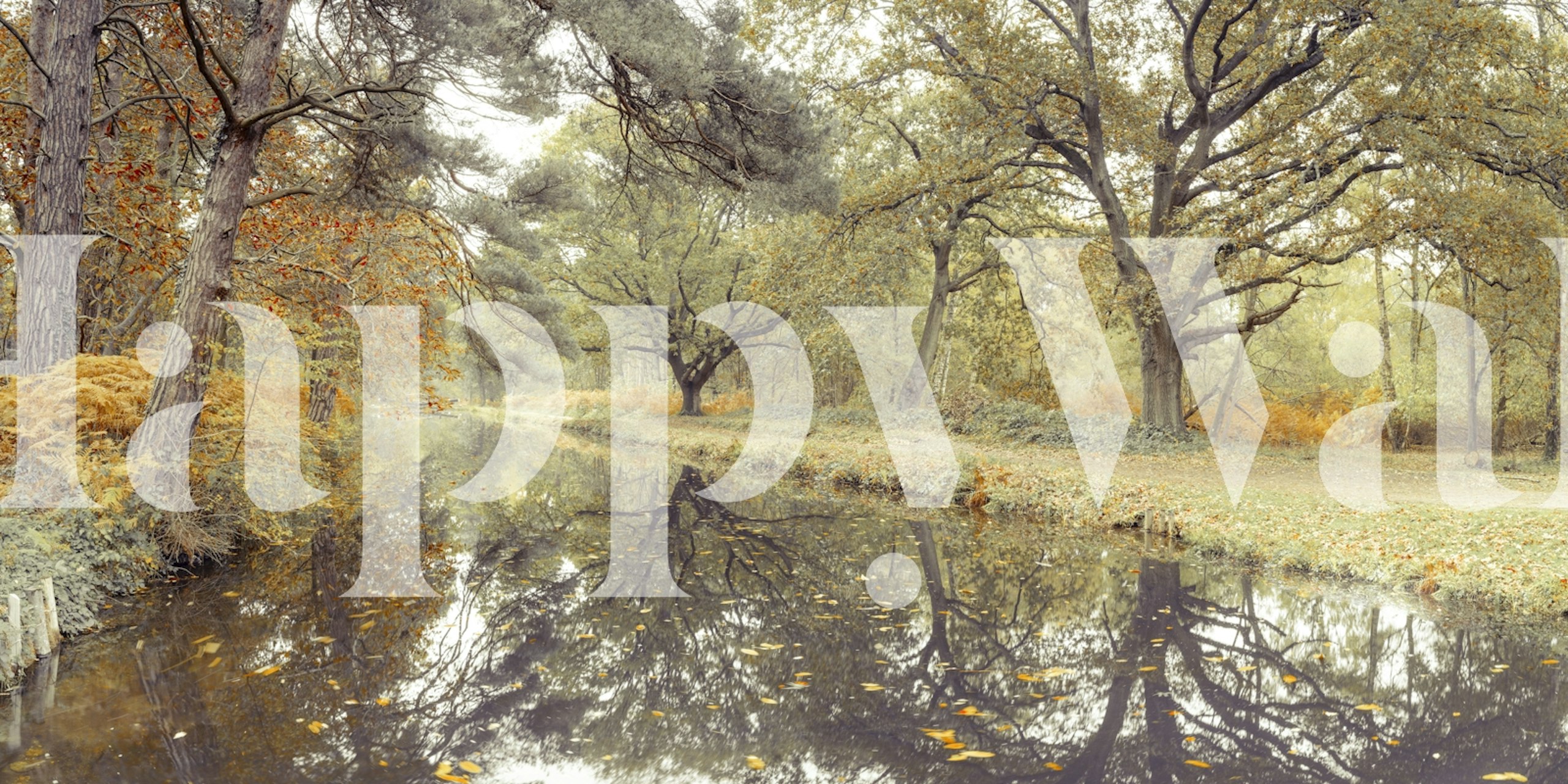 Calm waters in a fall forest wallpaper