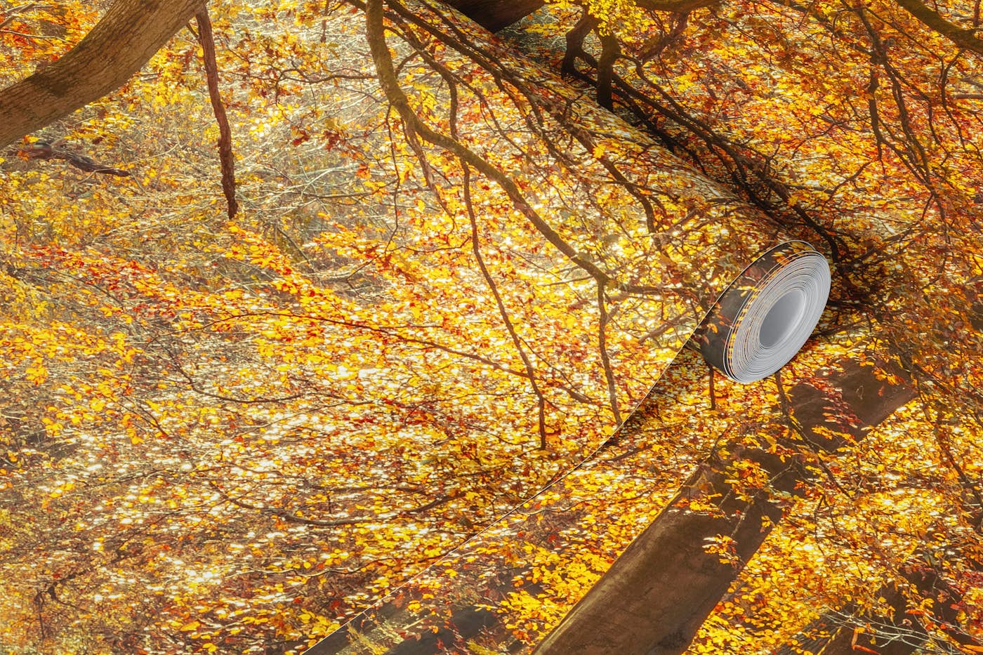 Amber Forest Journey wallpaper roll